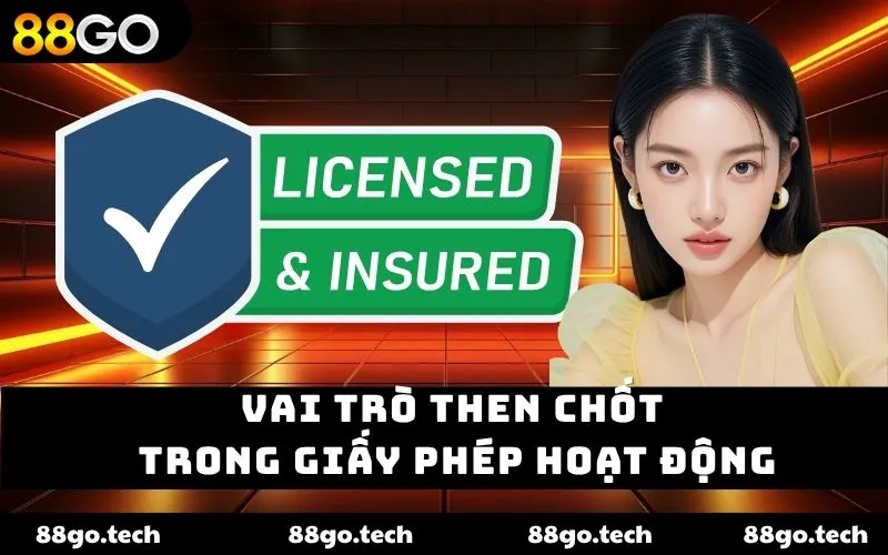 Vai trò then chốt trong giấy phép hoạt động